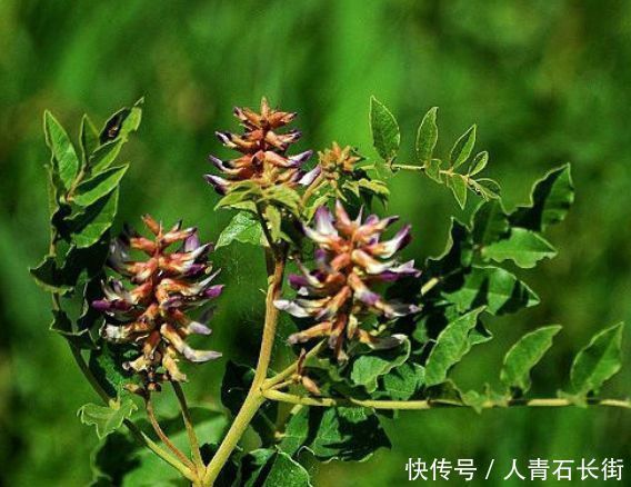 女性衰老的“天敵”，常吃6物常吃，拒絕皺紋，皮膚光滑更顯年輕