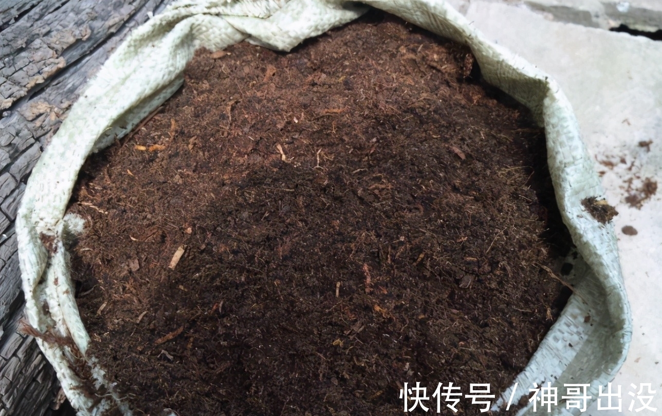 买的营养土不一定适合你,准备3种“材料”,自己在家就能调配