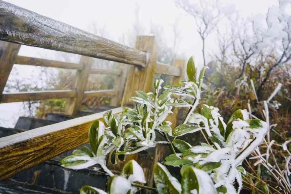 武鸣大明山化身“冰雪世界”， 雾凇云瀑美如仙境！