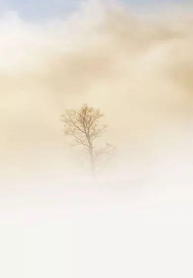 佛陀|一部《金刚经》的正确打开方式,你知道吗?