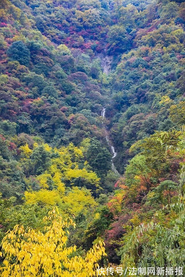 万山红遍|汉中略阳的秋天