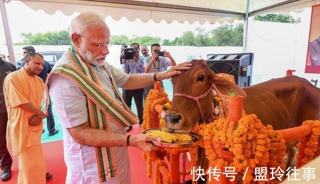 妻子|印度大叔抛妻弃子,花费17万和母牛举行婚礼,其中有何奥秘?