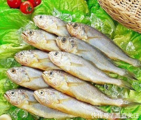 海水鱼|过节吃鱼,首选这3种鱼,现在没有办法人工养殖,吃着更放心