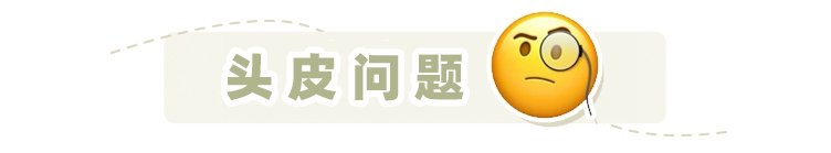 头皮 油头、脱发、有头屑怎么选洗发水？看完这篇就知道了