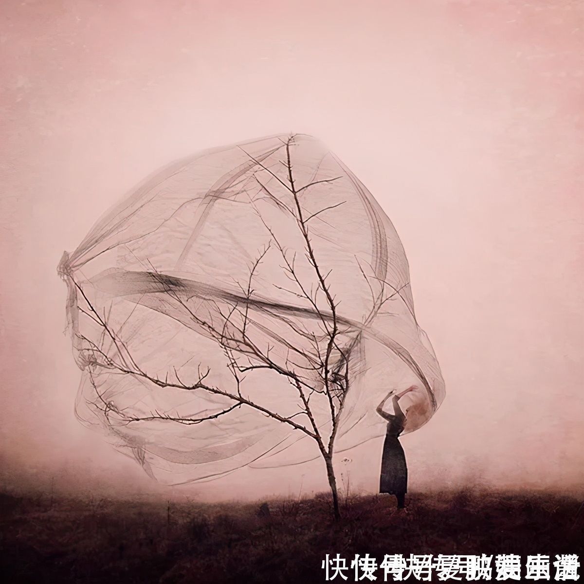 骑自行车|这画面真是绝了,女孩横躺在水里骑自行车,让人看上一眼就忘不了