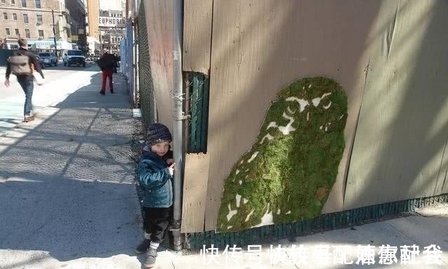 啤酒!他用酸奶、啤酒、苔藓把动物养在墙上,14天后的画面让人惊讶