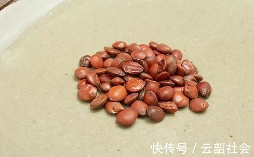 继发性失眠|经常睡不着?很实用的助眠汤,失眠人群不再犯难