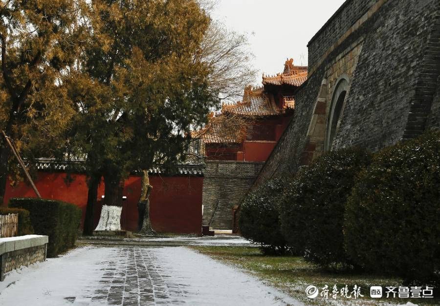 汉柏|壹图集｜2021年12月24日，雪后泰安岱庙，红墙金瓦映白雪