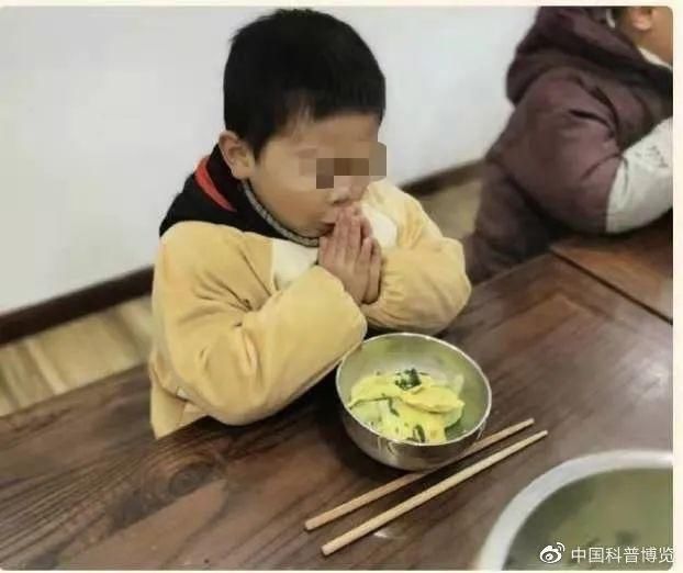 “全素食”幼儿园受家长热捧？紧急提醒：全素食≠更健康！