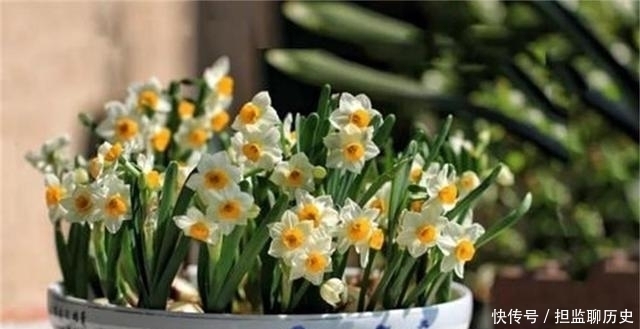 道理|民间俗语“人无癖,不可交”,古人这么说有没有道理呢