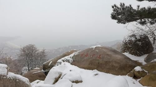 美了醉了！崂山风景区瑞雪迎春