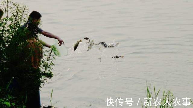 广东一男子野钓遇稀罕事，钓不到鱼江面上却成群，网友：放生的
