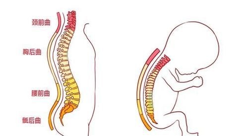 高鼻梁|不要对月子里新生儿做9件事,家长早知道早避坑,别影响娃的发育