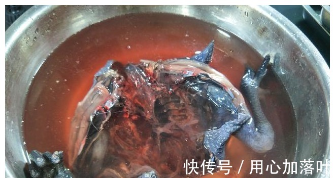 烧鸡|把1只乌鸡扔进压力锅,不放盐不放油,出锅比烧鸡还好吃!