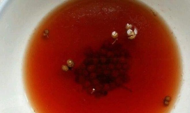 和面|流汁的肉包子，从调馅到和面详细讲解，鲜嫩多汁，上桌家人抢着吃