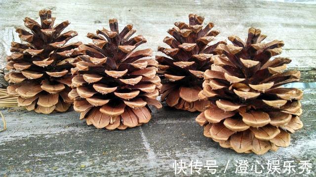 8种“废物”不要扔,拿个罐子,封装泡水,可以用来浇花当施肥