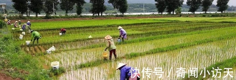 凯尔特人|为何欧洲普遍比亚洲人高大且强壮?平均身高高出9cm、体重多14kg