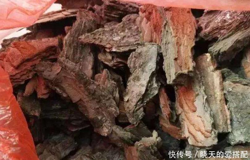 小齐|家庭养花必不可少的4种“好材料”,不花一分钱,配土透气又透水