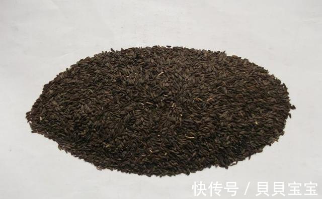 预防|爱美女性都会吃,3种食物要常吃,预防近视,美容护肤气色更好