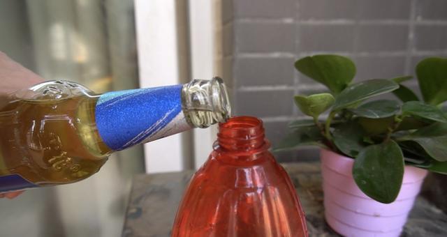 啤酒水淘米水浇花，关键“1步”不能少，否则变成养花“夺命水”