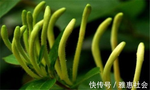 排毒|聪明的人爱吃3种食物,疏通血管,排毒消脂,刮油瘦身