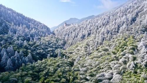 南方的雪景，竟然不输北方