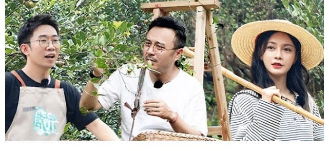 杨迪曾因丑被阻止上台领奖，《快本》、《天天》整改，他考证成赢家