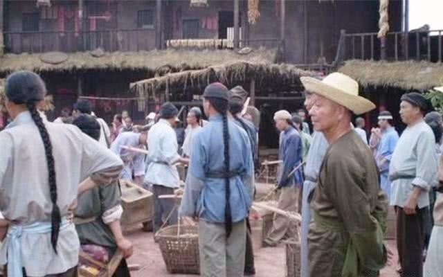 冒死|神医去越南治病,无意间发现一植物,冒死偷来种植,拯救上亿百姓