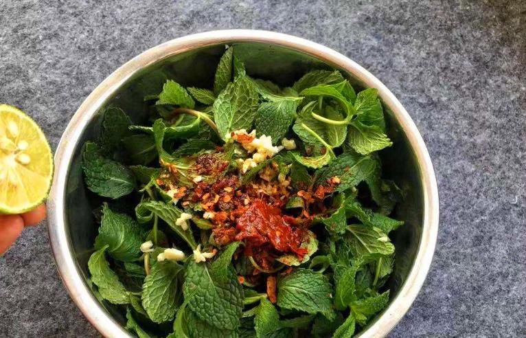 家里养“2种香草”，不仅清新空气又防蚊，还安全可食，太好了