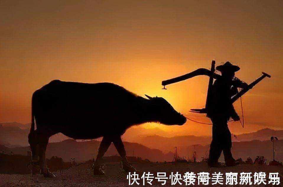 百姓@一首诗四十个字道尽百姓苦楚,感动一代帝王,这是什么诗