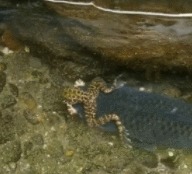 |搞笑动图:图6大哥一回头,把旁边小伙子吓的“过去了”