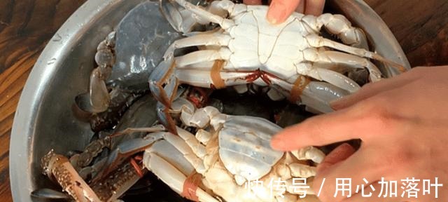 螃蟹|蒸螃蟹时，最忌直接上锅蒸，多做1步，蟹肉鲜嫩入味不流黄！