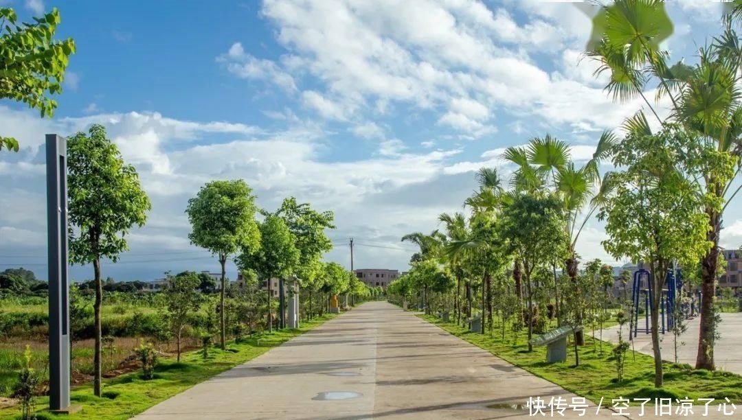 鲁阳村|【红色记忆】鲁阳村：龙溪河畔，红色沃土