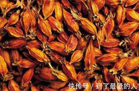 自由基|女人不想老太快,多吃此物,保护卵巢,淡化皱纹雀斑,越来越年轻