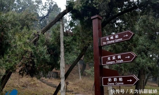 皇帝|因为儿子的任性, 这位开国皇帝竟然葬在黄河滩上!