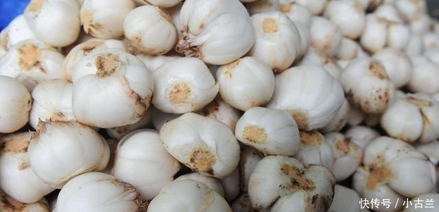 百合5种最好吃的做法,简单美味又馋人,看看你喜欢吃哪种?