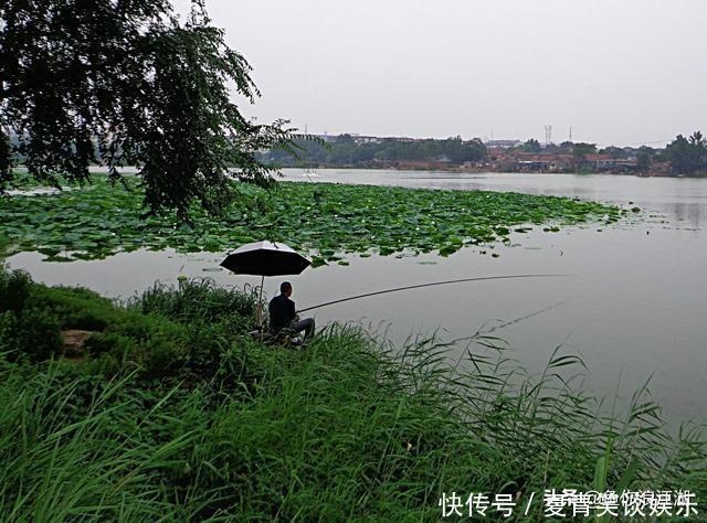 图片来源网络|如果你钓鱼是为了修身养性,建议你换一种运动,钓鱼真的不合适