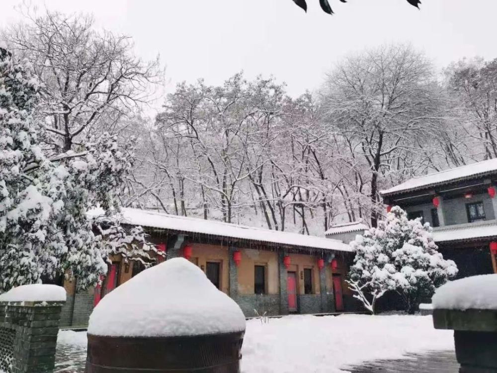 终究|终究是雪，温润了临潼的时光——