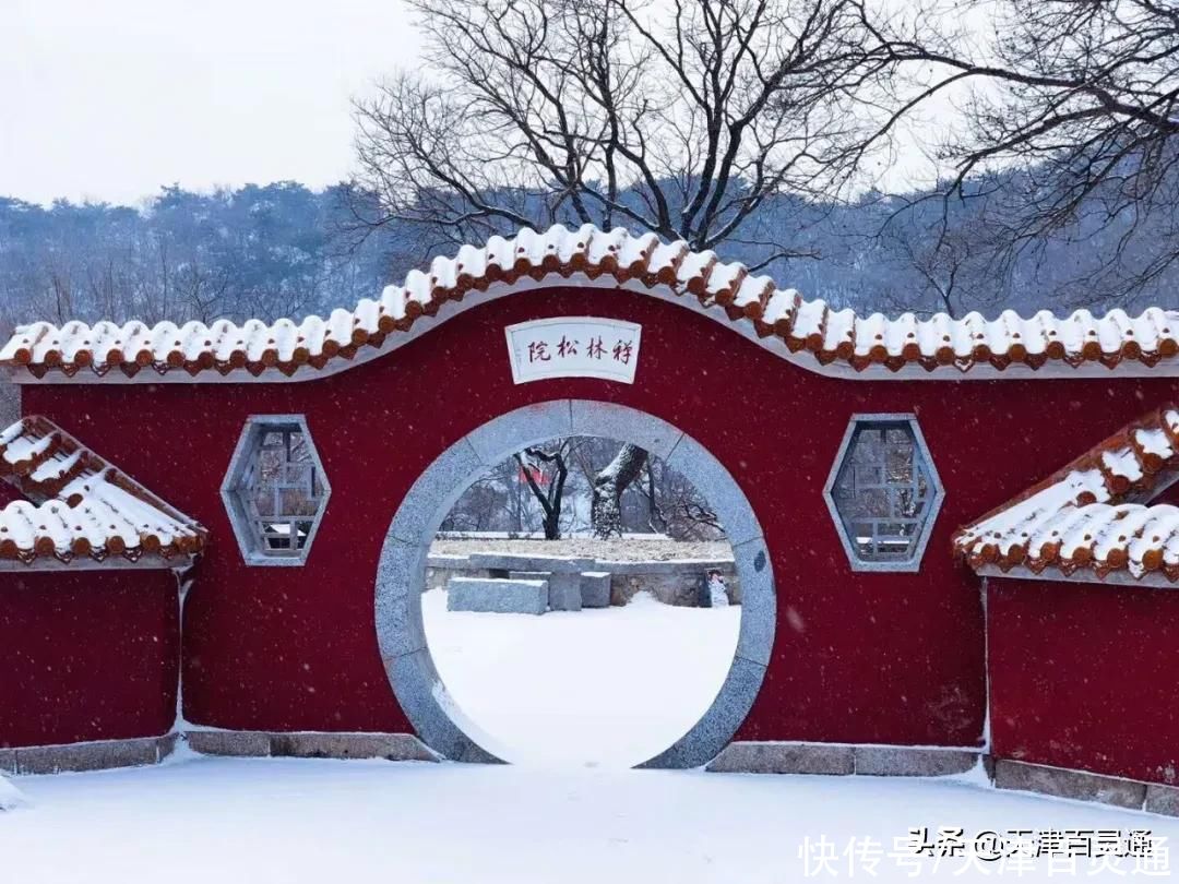 老年|蓟州下雪了！市区还有戏吗？