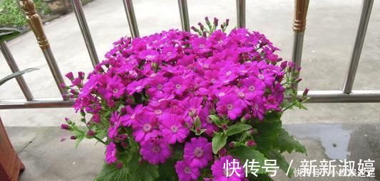 出息|出生在几点钟的孩子,智商最高,将来一定大有出息,前途光明