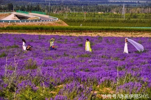 塞外江南的花海世界