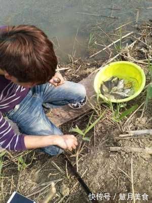 民间“钓泡法”钓鱼,鲫鱼多得让你吃不完