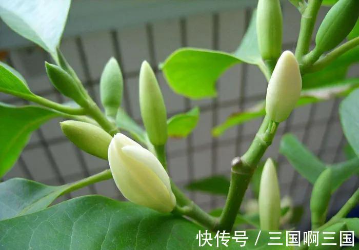 别再被割韭菜了,此些网红花白给都不要,看到就要躲得远远的