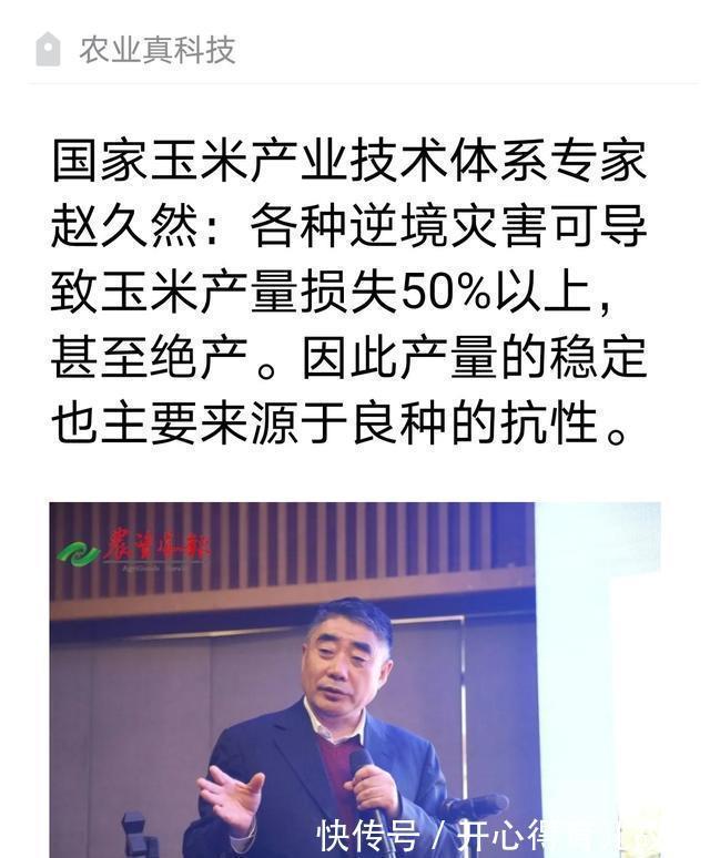 红轴|明年种玉米：夏播区淘汰958类白轴品种，是真正的智慧