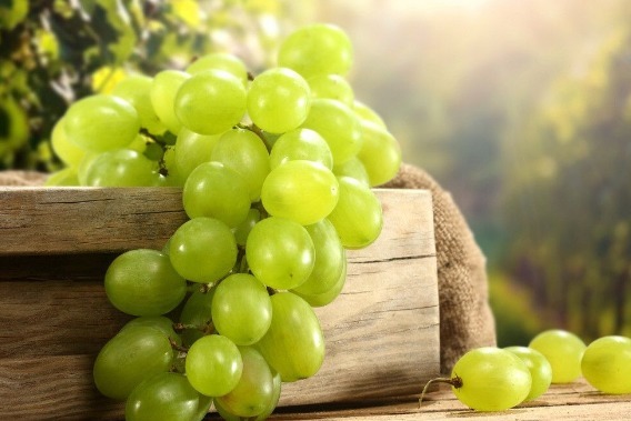 葡萄|廉价的3大“防癌”食物,人人都买的起,有事没事吃一点