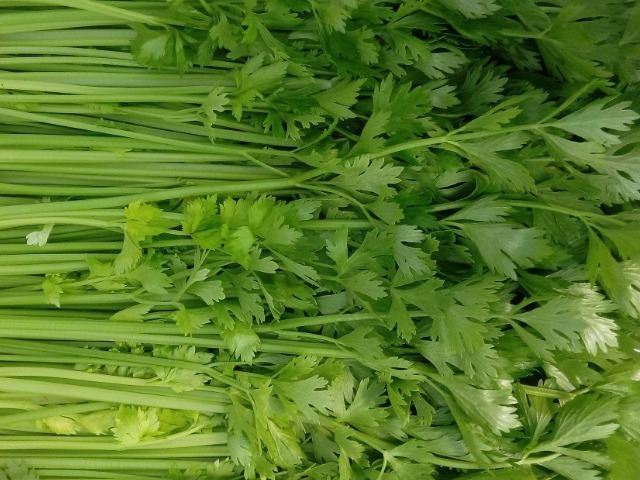 菊苣|藏在身边的天然“二甲双胍”，每天早晚多吃，或使你血糖不升反降