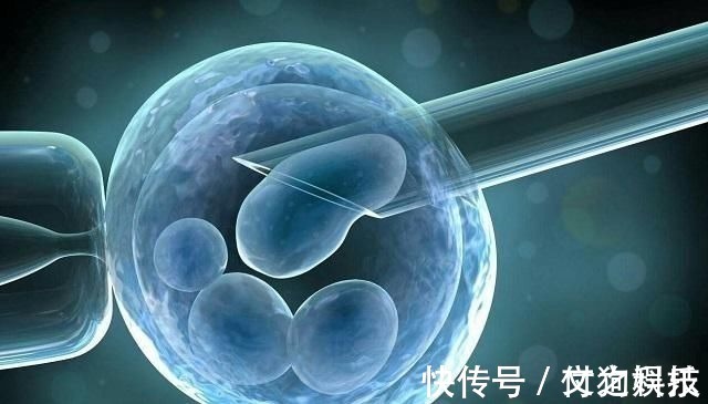 郑女士|国内首例“试管婴儿”,如今已32岁,生活状况在众人意料之外