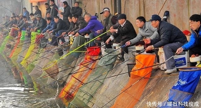 钓鱼|黑坑“偷驴”!无锡钓友150元钓了11条青鱼,鱼塘老板心态崩了