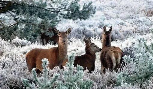 节气|【时事地理】立冬与冬至，你分得清吗？关于24节气你应该知道的地理考点