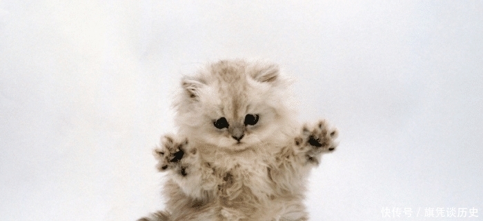 《西游记》有两种动物不能写成妖!吴承恩表示不敢碰,让写也不写